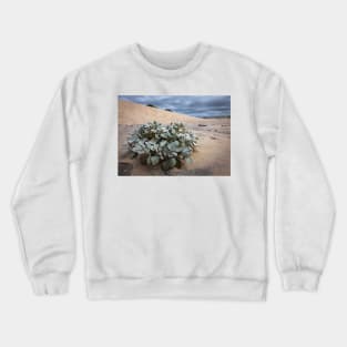 Sand Plant Crewneck Sweatshirt